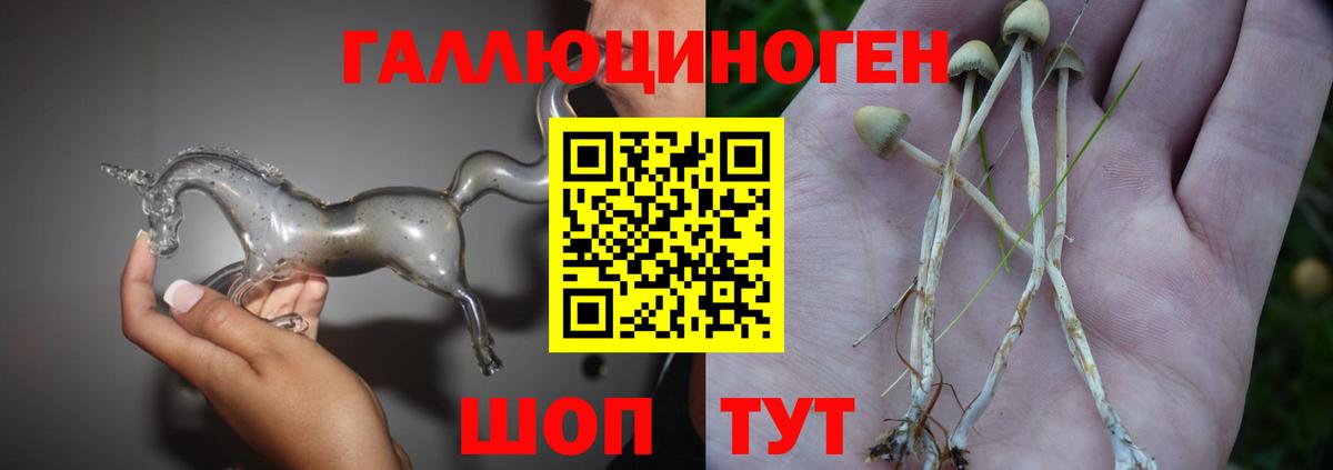 Псилоцибиновые грибы MAGIC MUSHROOMS Первоуральск